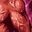 Skill0420_0.jpg.a7a798f3e95dd40fc2369c49f9aff2dd.jpg